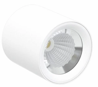 GR Surface Drum Smart Light (12W, White)