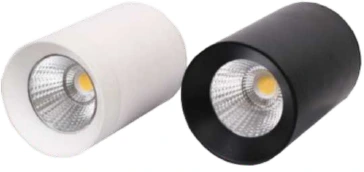 Non-Smart Surface Cylinder Light (12W, White)